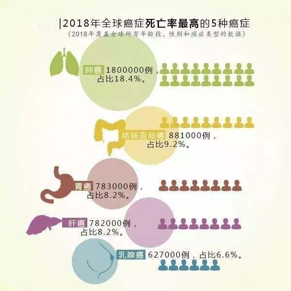 肺病最新分布