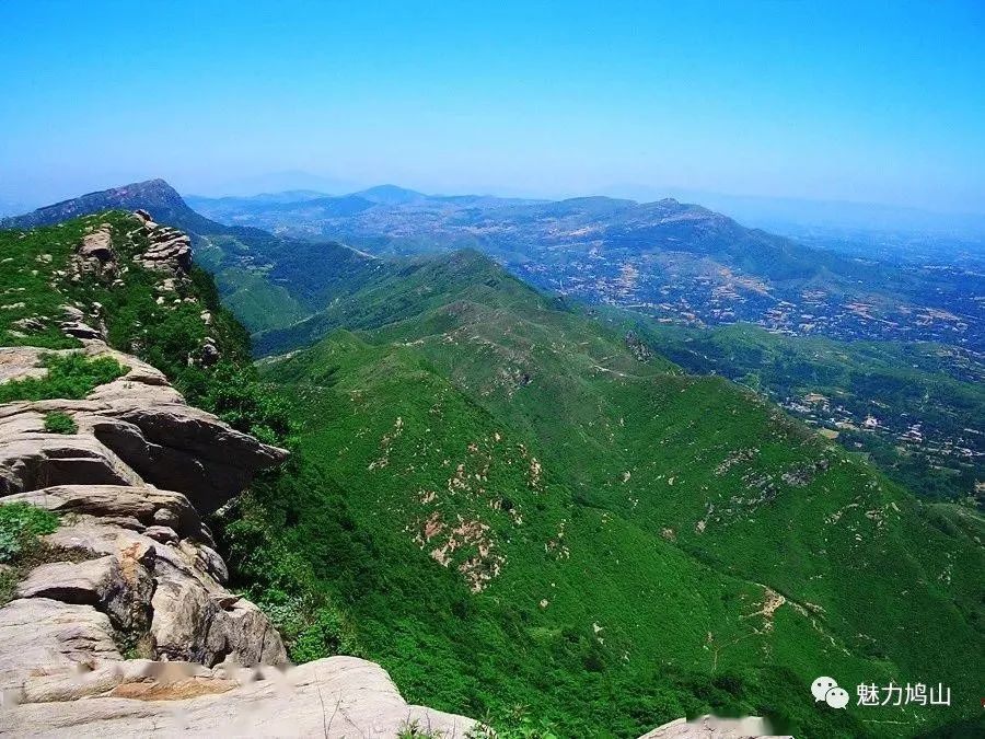 禹州鸠山最新